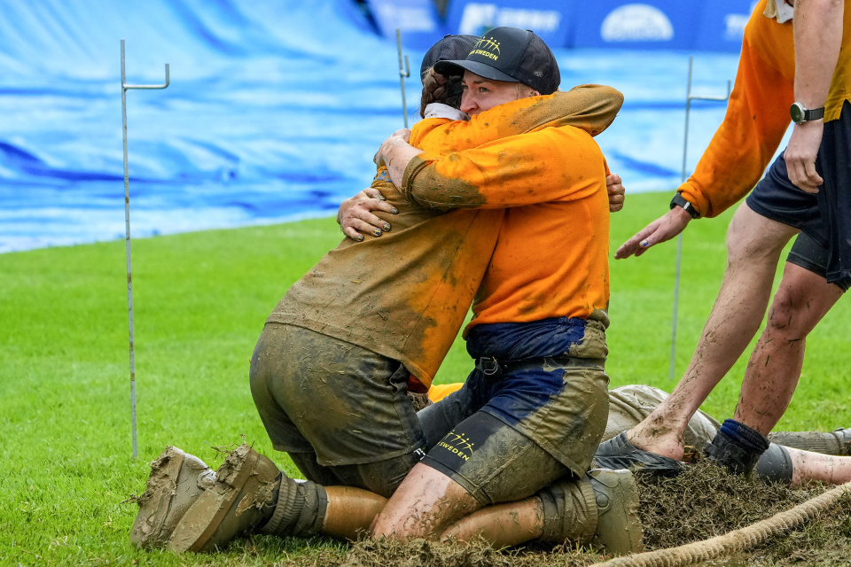 从左至右 从左至右
