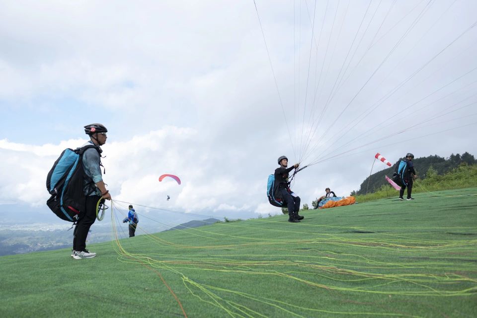 pzDY, GxXCH, 项目 pzDY, GxXCH, 项目