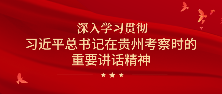 备用伞及通, 发布会, 推动黔东南 备用伞及通, 发布会, 推动黔东南
