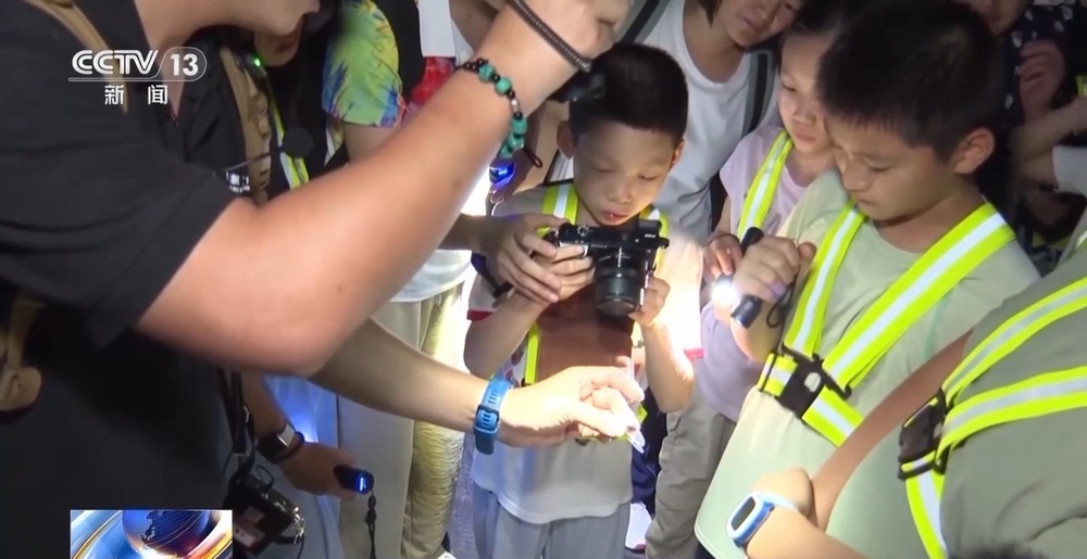 综合性的体 综合性的体