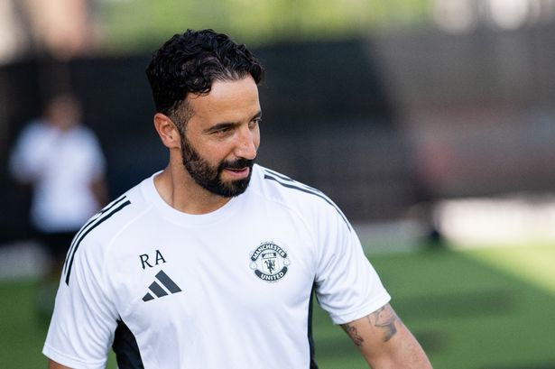 的报道, 报道还指出 的报道, 报道还指出